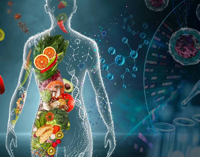 About Holistic Nutrition Health 